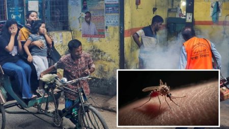 ডেঙ্গুতে দুজনের মৃত্যু, হাসপাতালে ভর্তি ৬১০